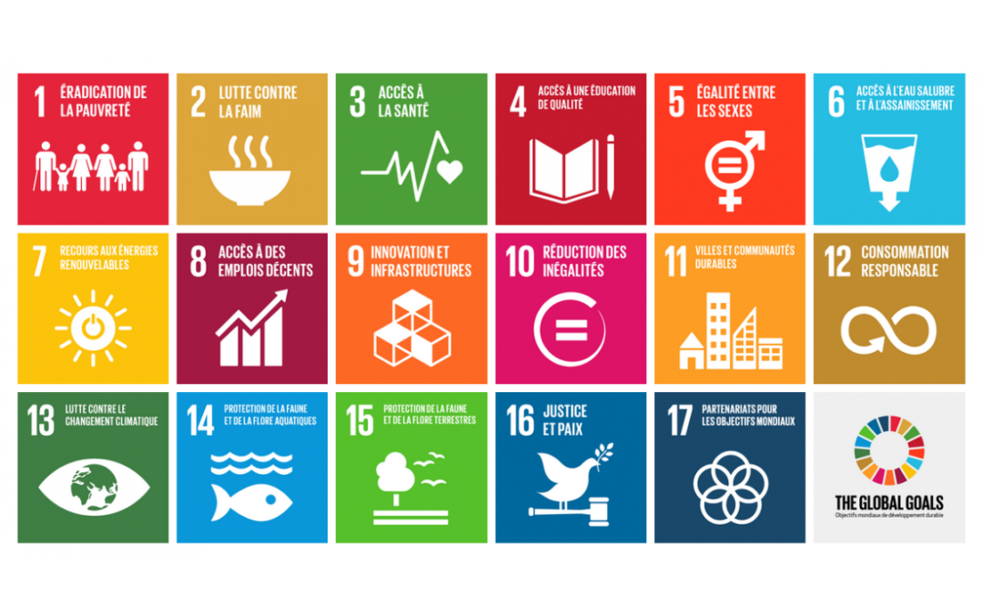 An Introduction to the Sustainable Development Goals