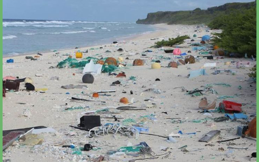 Reducing plastic waste: Bye-bye single-use plastics